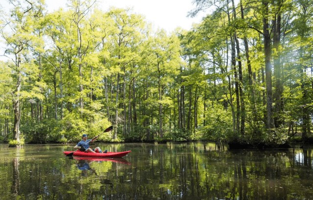 Kayaking at Robertson Millpond Preserve near Wendell Falls.