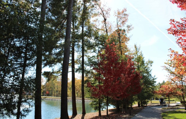 Fall at Wendell Falls