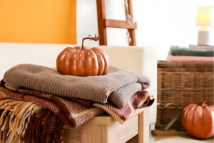 Pumpkin On Blankets (1)