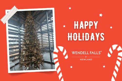 Happy Holidays from WF Team